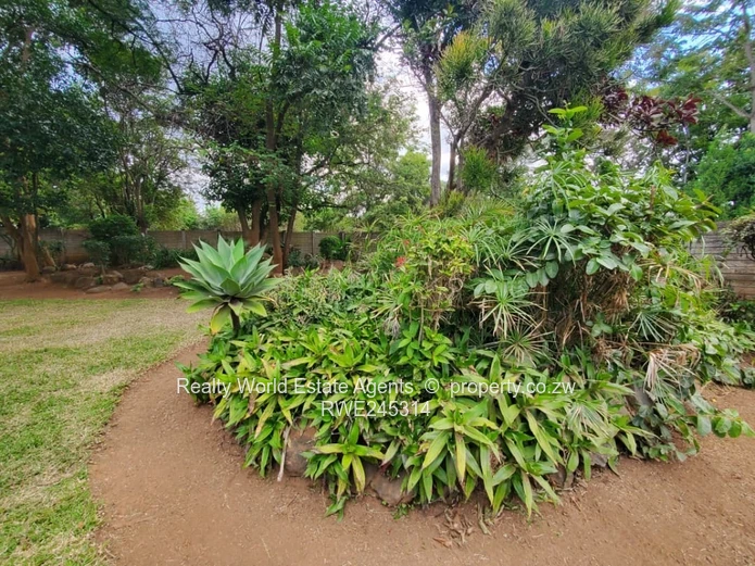 Chisipite House To Rent - Located Close to Chisipite Roundabout 