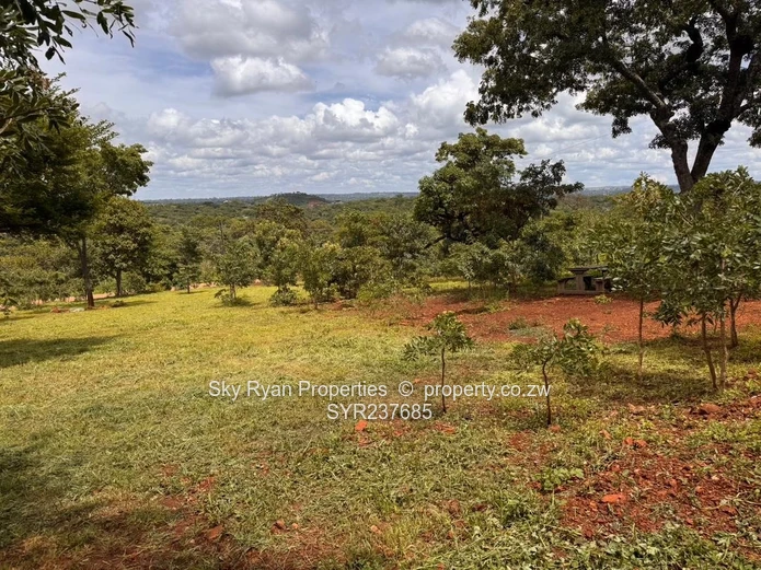 Shawasha Hills Estate Stands For Sale