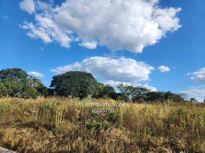 Spacious Erasmus Park Residential Stand (Sole Mandate)