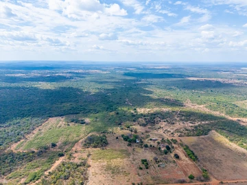 Farm & Agricultural Land