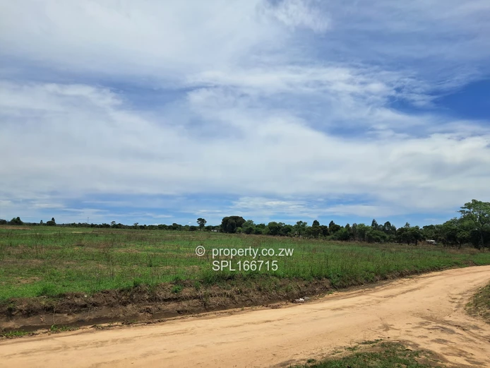 5.2 hectares Farmland. (Sole Mandate)