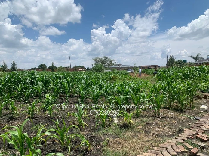 Beautiful stand for sale