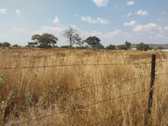 Farm & Agricultural Land