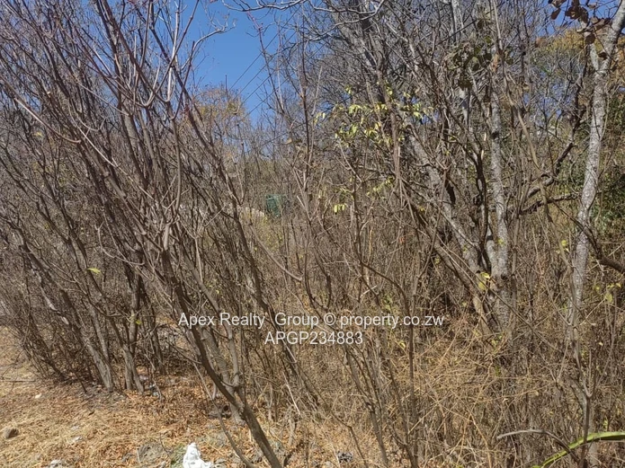 Glen Lorne Prime Land For Sale!