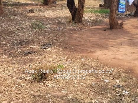 Gletwyn Stand For Sale