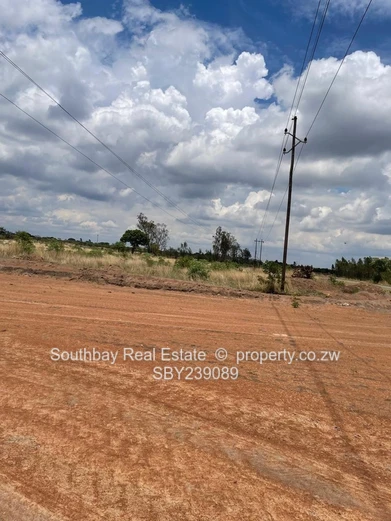 Investment Opportunity