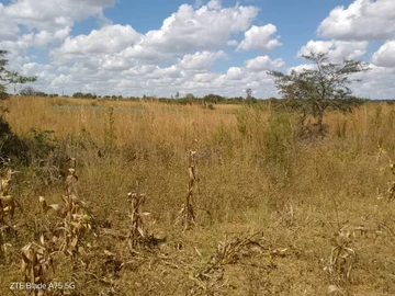 Farm & Agricultural Land