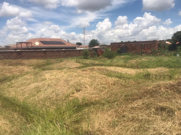 Stands & Residential Land