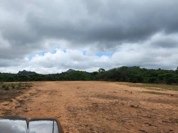 Farm & Agricultural Land