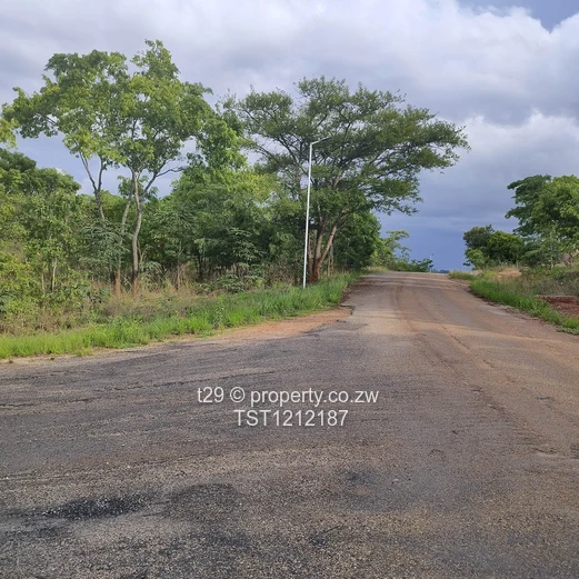 Borrowdale Carrick creagh estate stand for sale (Sole Mandate)