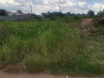 Stands & Residential Land