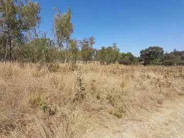 Farm & Agricultural Land