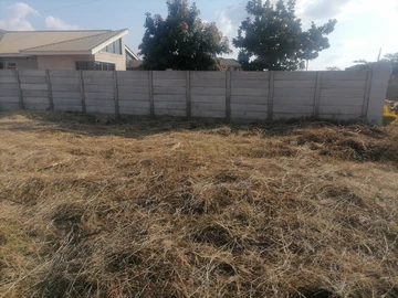 Stands & Residential Land