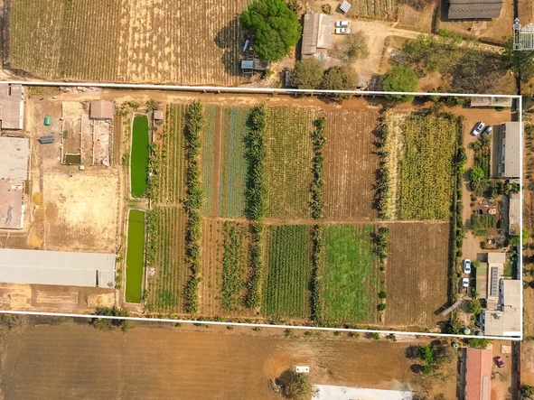 Farm & Agricultural Land