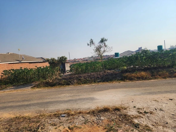 Stands & Residential Land