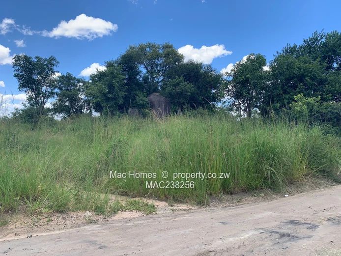 Rusape Land For Sale (Sole Mandate)