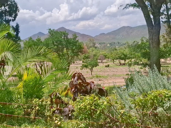 Mutare (Fern Valley South)