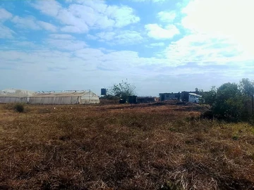 Farm & Agricultural Land