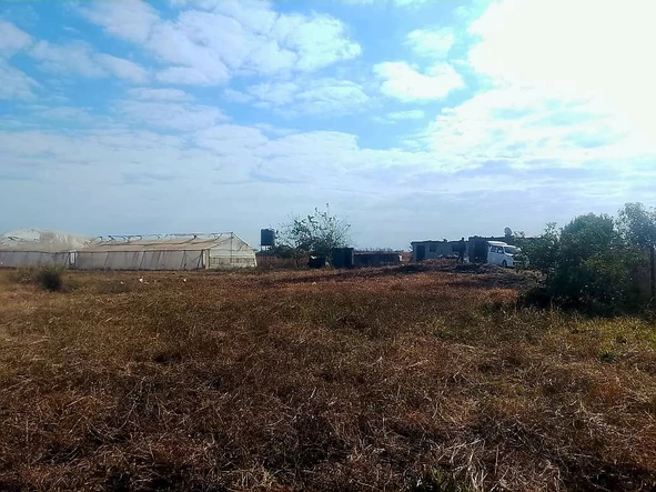 Farm & Agricultural Land