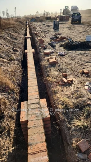 Investment Opportunity