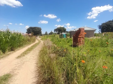 Stands & Residential Land