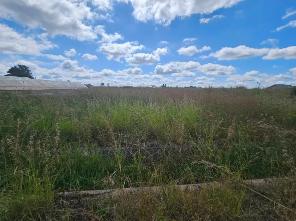 Stands & Residential Land