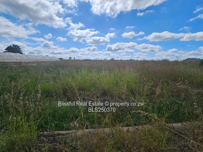 Nyeredzi Ridge Stand for sale