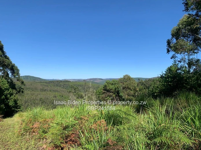 Nyanga Vacation Plots!! Limited!