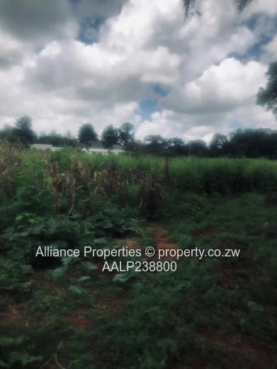 Elite Address, Infinite Potential: Prime Acre Stand in Borrowdale