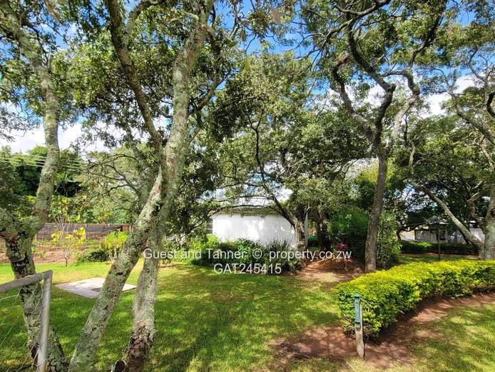 A hidden gem in a quiet suburb of Marondera