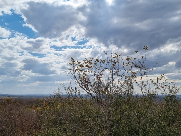 Commercial & Industrial Land