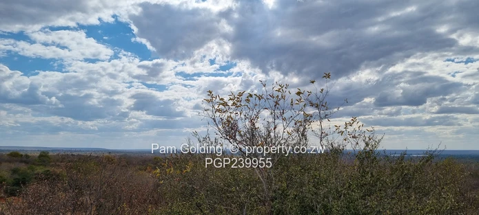 Prime Development Land on the Victoria Falls Game Corridor (Sole Mandate)