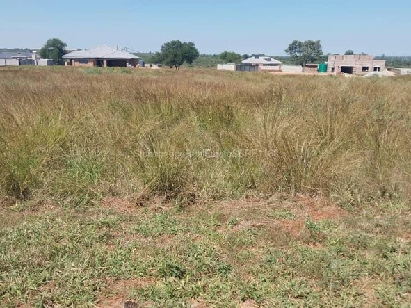 Stands & Residential Land