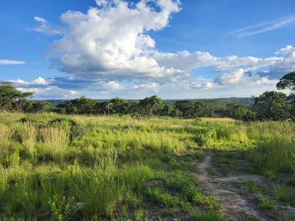 Farm & Agricultural Land