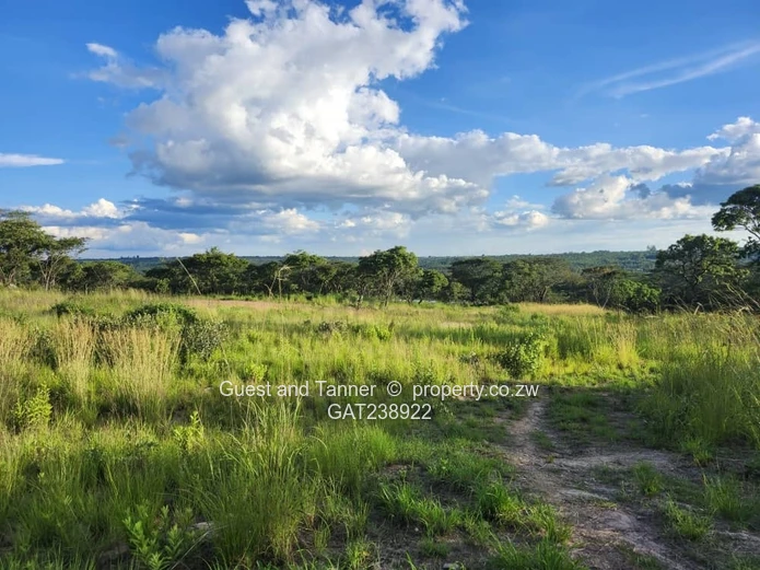 Ruwa Agro-Residential 1.64 Hectare Plot