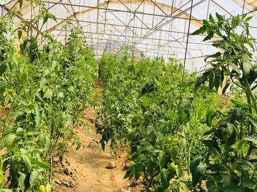 Farm & Agricultural Land