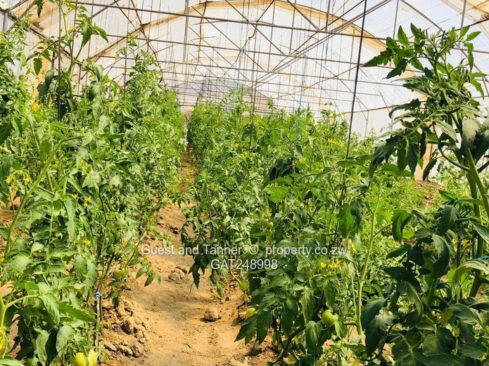 2 Prime Agricultural Plots for Sale – Ngezi Farming Area 