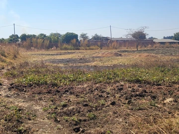 Stands & Residential Land