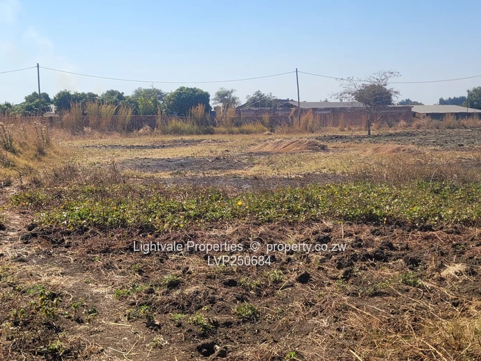 Sunlit 4,814m² Stand in Knowe – Tarred Roads & Water (Sole Mandate)