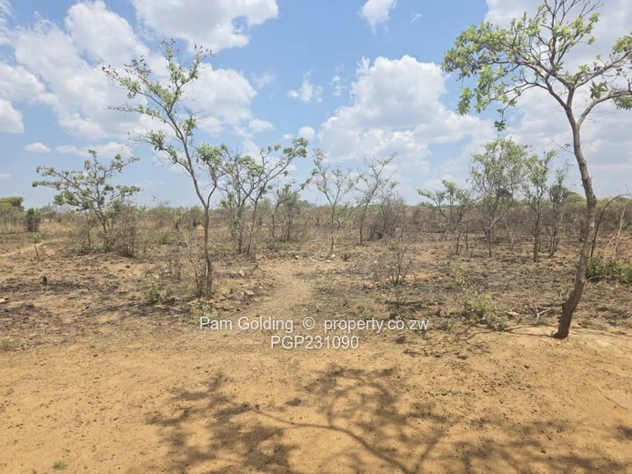 Burnside Town House Stands  (Sole Mandate)