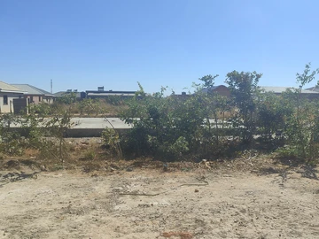 Stands & Residential Land