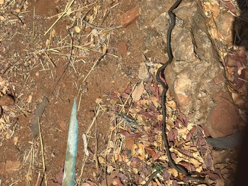 Farm & Agricultural Land