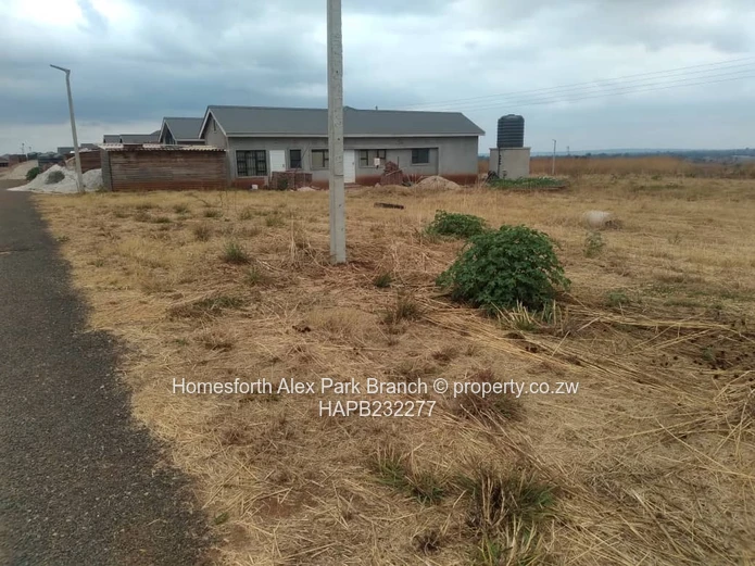 Pomona Nyeredzi Ridge Phase 1 
