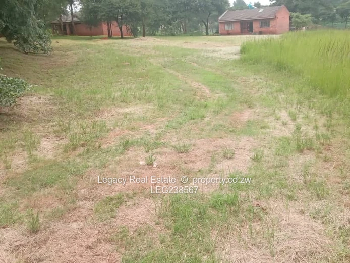 Development Opportunity: Large Stand with Guest House – Gletwin