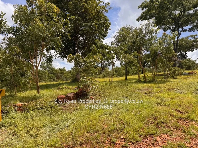 Shawasha Hills Estate Stands For Sale