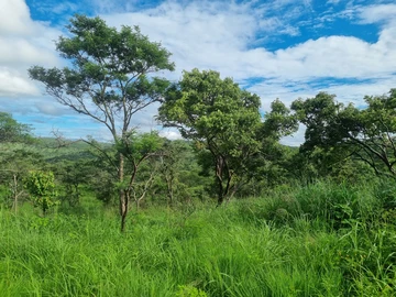 Farm & Agricultural Land