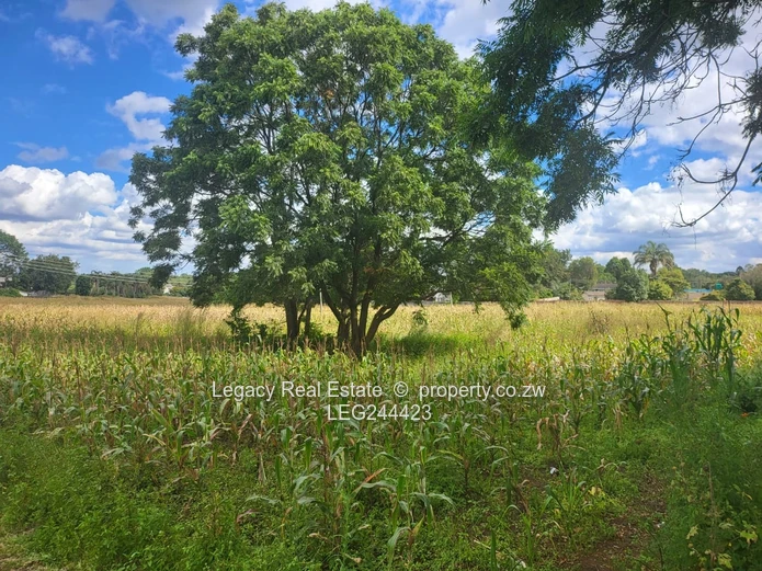 Choice of 8 Stands for sale in Borrowdale Quinnington