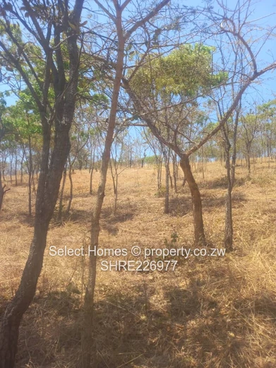 Shawasha Hills Land For Sale