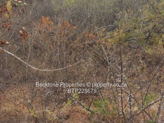 Manningdale Plot for sale (Sole Mandate)