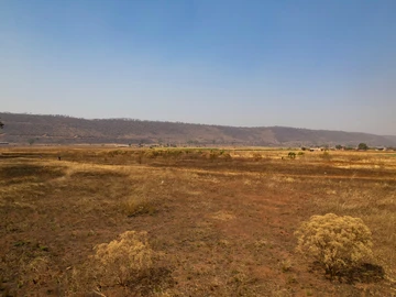 Farm & Agricultural Land